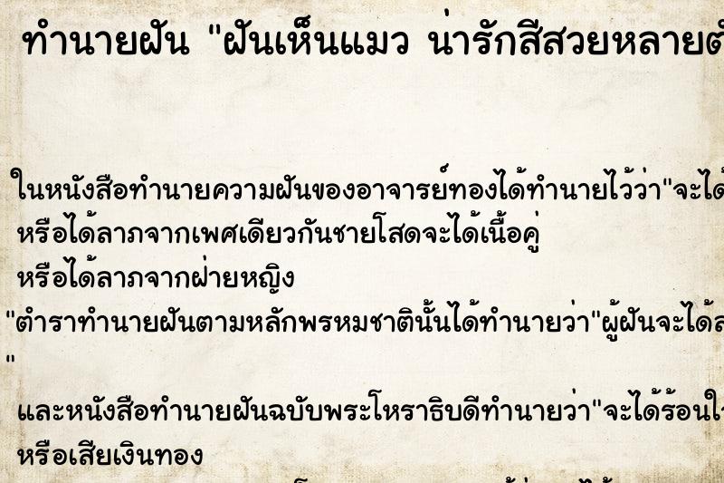 ทำนายฝันฝันเห็นแมวน่ารักสีสวยหลายตัว ทำนายฝันทำนายฝันฝันเห็นแมวน่ารักสีสวยหลายตัว